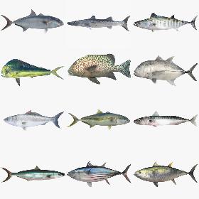 Geopolitical Earth Globe